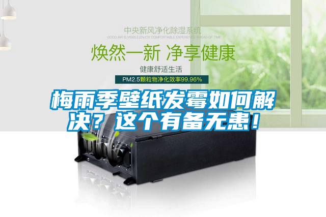 梅雨季壁紙發(fā)霉如何解決？這個有備無患！