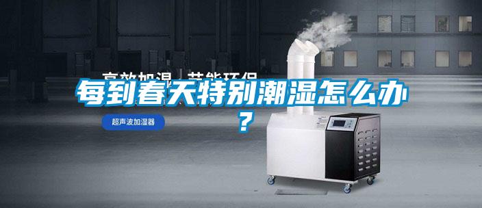 每到春天特別潮濕怎么辦？