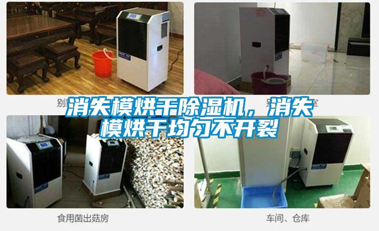 消失模烘干除濕機，消失模烘干均勻不開裂