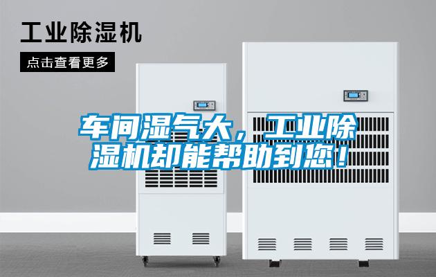 車間濕氣大，工業(yè)除濕機(jī)卻能幫助到您！