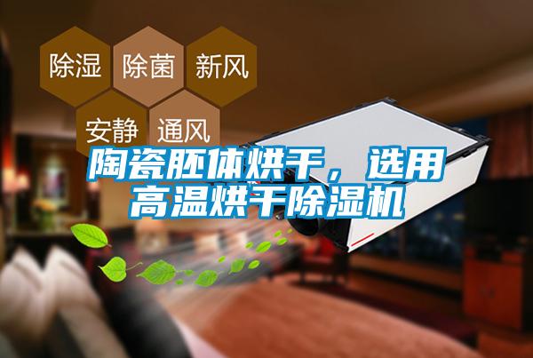 陶瓷胚體烘干，選用高溫烘干除濕機
