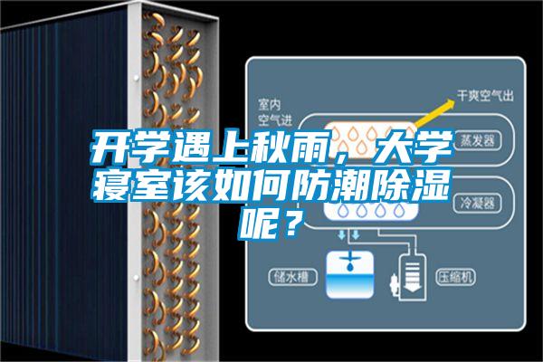 開學(xué)遇上秋雨，大學(xué)寢室該如何防潮除濕呢？