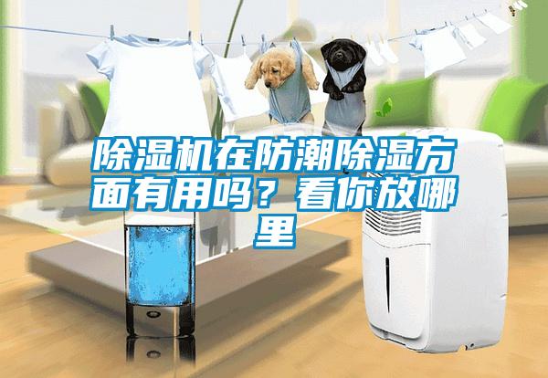 除濕機在防潮除濕方面有用嗎？看你放哪里