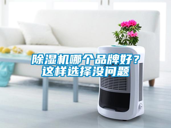 除濕機(jī)哪個(gè)品牌好？這樣選擇沒(méi)問(wèn)題