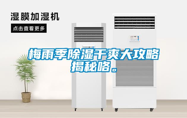 梅雨季除濕干爽大攻略揭秘咯。