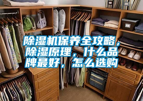 除濕機(jī)保養(yǎng)全攻略，除濕原理，什么品牌最好，怎么選購