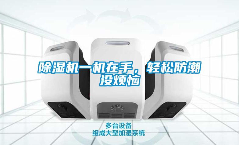 除濕機(jī)一機(jī)在手，輕松防潮沒煩惱