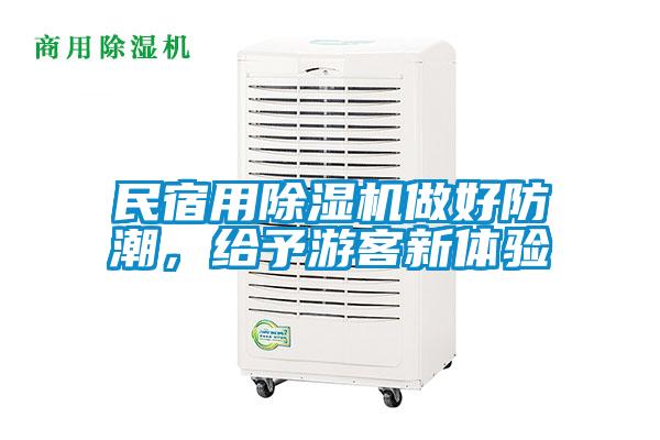 民宿用除濕機做好防潮，給予游客新體驗