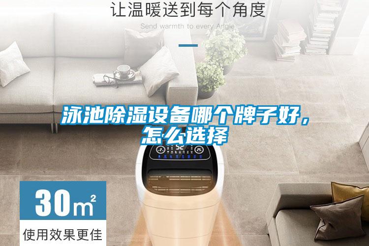 泳池除濕設(shè)備哪個(gè)牌子好，怎么選擇