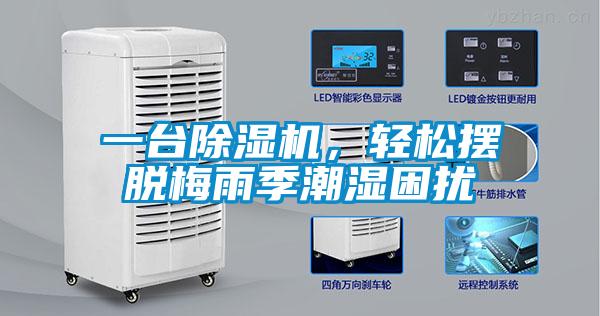 一臺除濕機，輕松擺脫梅雨季潮濕困擾