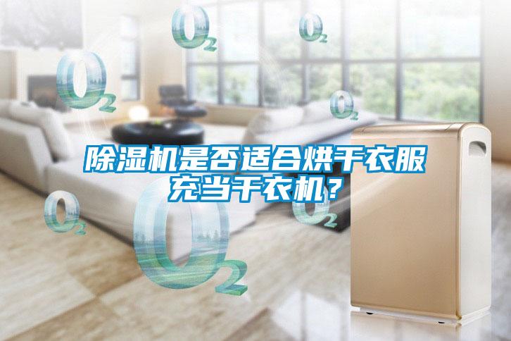 除濕機(jī)是否適合烘干衣服充當(dāng)干衣機(jī)？