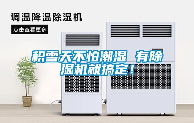 積雪天不怕潮濕 有除濕機就搞定！