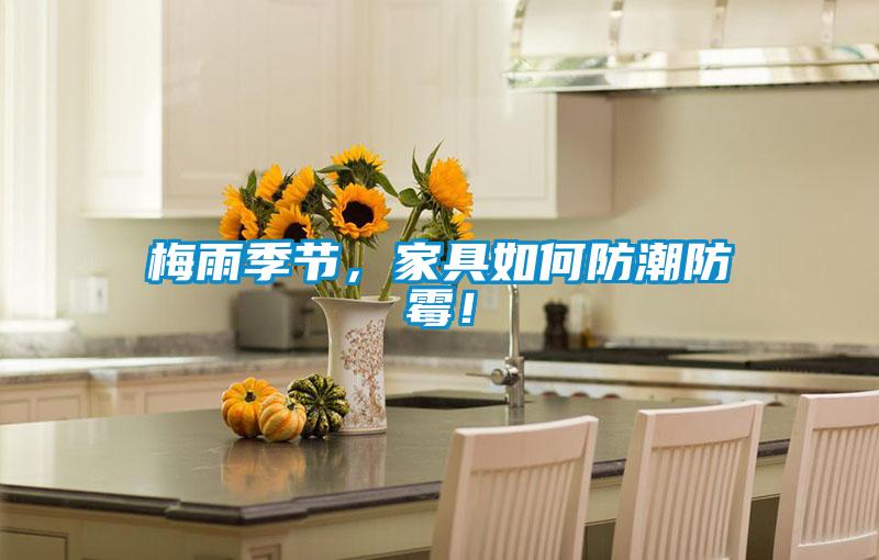 梅雨季節(jié)，家具如何防潮防霉！