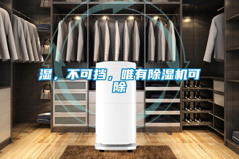 濕，不可擋，唯有除濕機可除