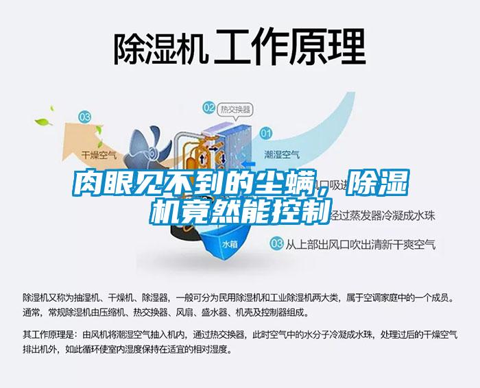 肉眼見不到的塵螨，除濕機(jī)竟然能控制