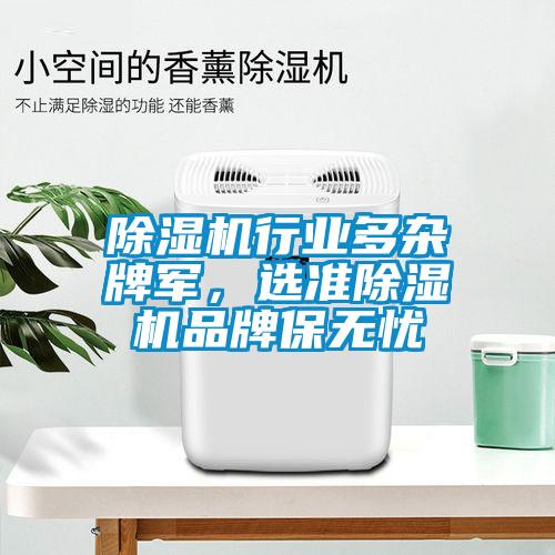 除濕機(jī)行業(yè)多雜牌軍，選準(zhǔn)除濕機(jī)品牌保無憂