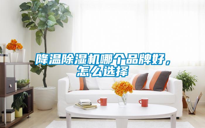 降溫除濕機哪個品牌好，怎么選擇