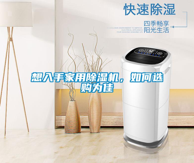 想入手家用除濕機，如何選購為佳