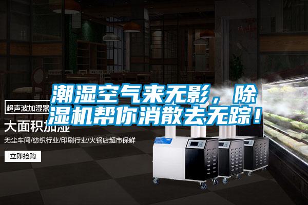 潮濕空氣來無影，除濕機幫你消散去無蹤！