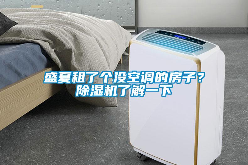 盛夏租了個沒空調(diào)的房子？除濕機了解一下