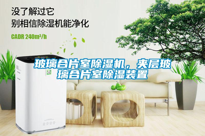 玻璃合片室除濕機(jī)，夾層玻璃合片室除濕裝置