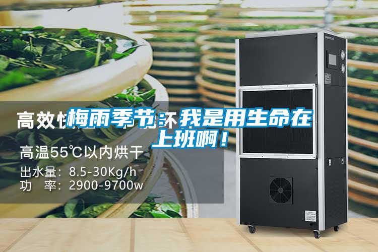 梅雨季節(jié)：我是用生命在上班??！