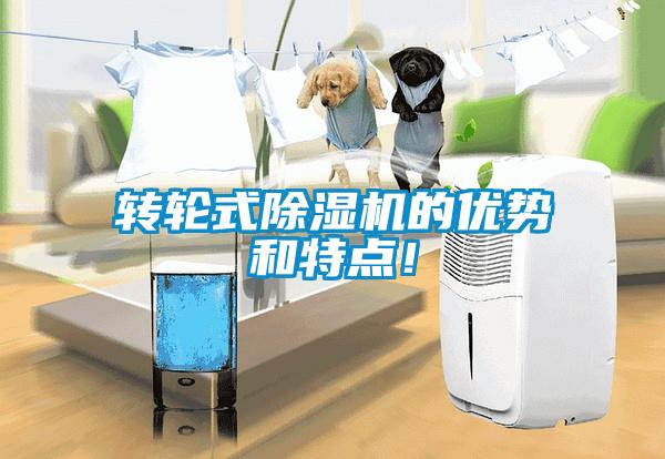 轉(zhuǎn)輪式除濕機(jī)的優(yōu)勢和特點！