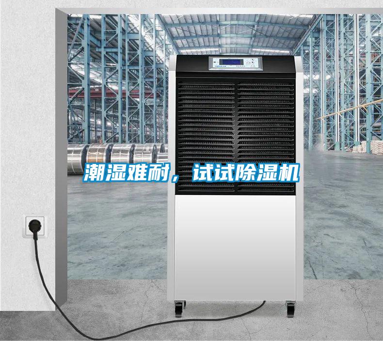 潮濕難耐，試試除濕機
