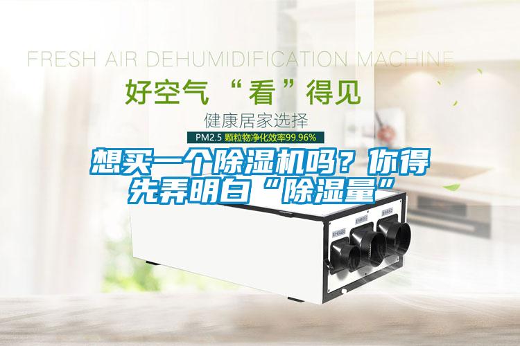 想買一個(gè)除濕機(jī)嗎？你得先弄明白“除濕量”
