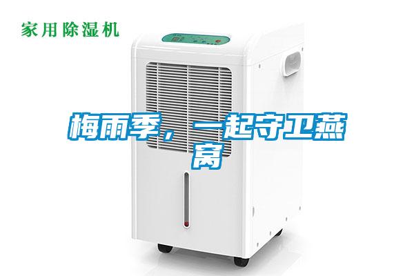 梅雨季，一起守衛(wèi)燕窩