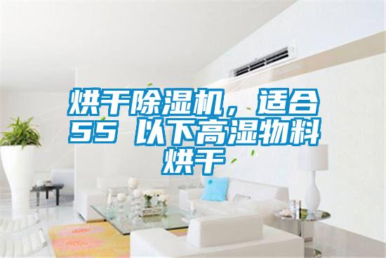 烘干除濕機(jī)，適合55℃以下高濕物料烘干