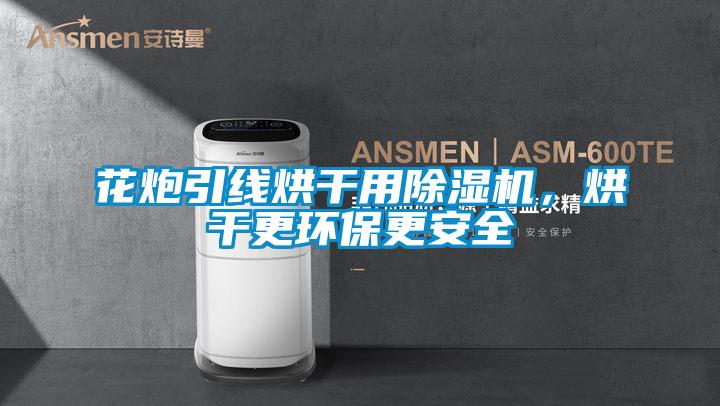 花炮引線烘干用除濕機，烘干更環(huán)保更安全