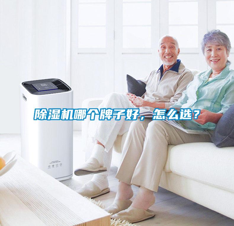 除濕機哪個牌子好，怎么選？