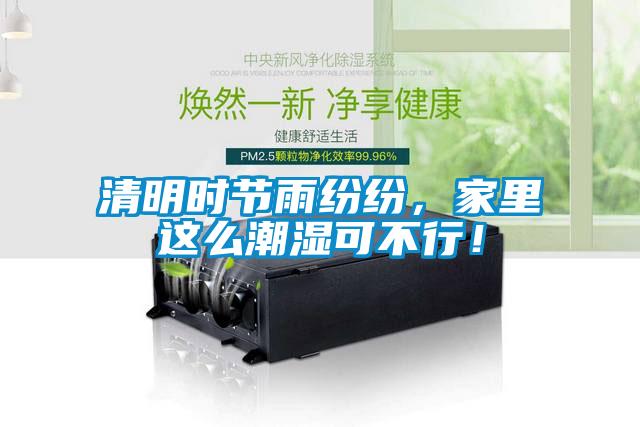 清明時(shí)節(jié)雨紛紛，家里這么潮濕可不行！