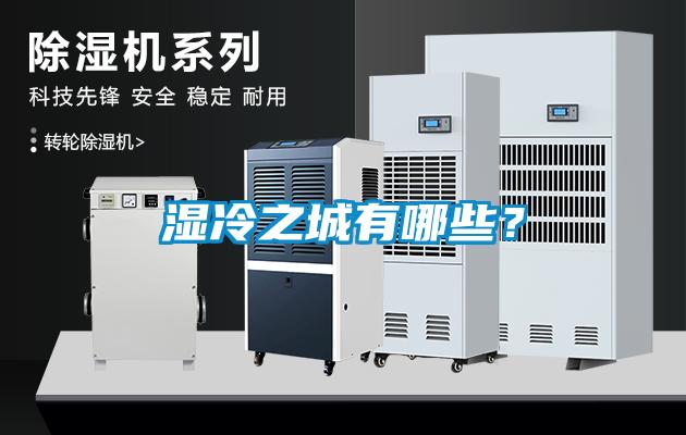 濕冷之城有哪些？