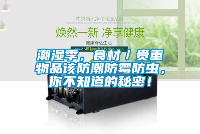 潮濕季，食材／貴重物品該防潮防霉防蟲，你不知道的秘密！