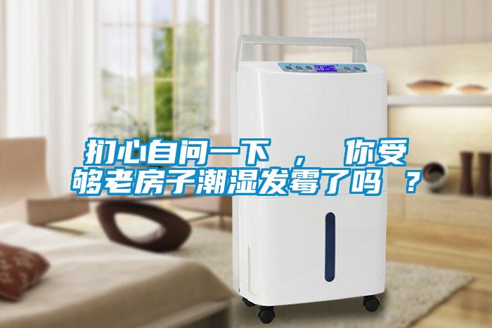 捫心自問一下 ， 你受夠老房子潮濕發(fā)霉了嗎 ？