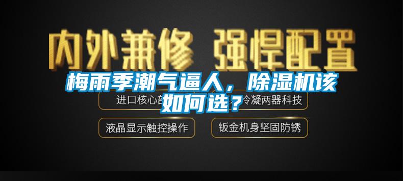梅雨季潮氣逼人，除濕機該如何選？