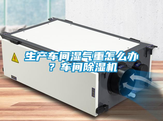 生產(chǎn)車間濕氣重怎么辦？車間除濕機