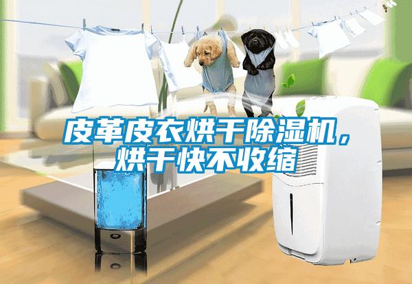 皮革皮衣烘干除濕機(jī)，烘干快不收縮