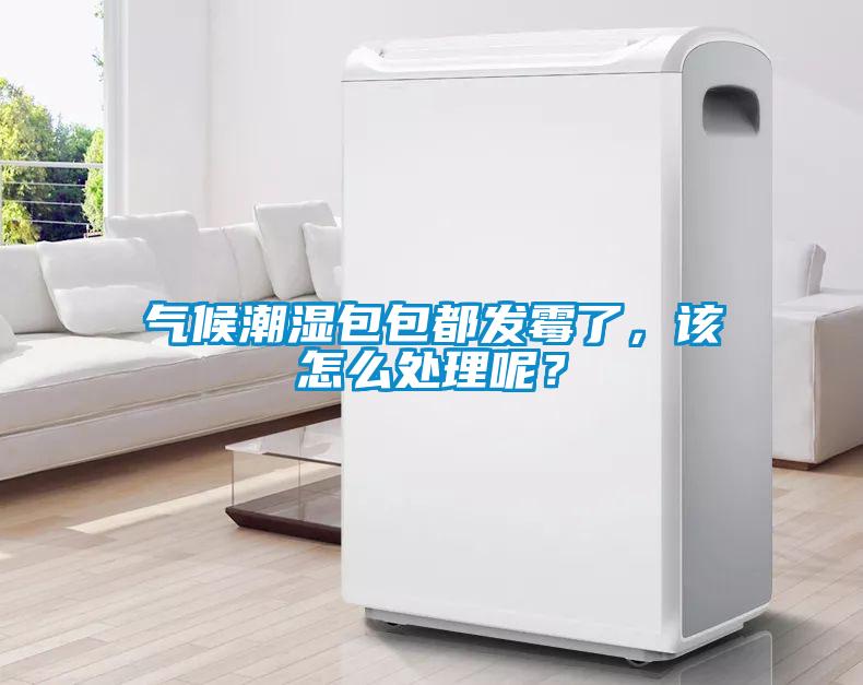 氣候潮濕包包都發(fā)霉了，該怎么處理呢？