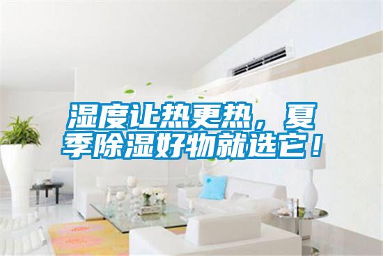 濕度讓熱更熱，夏季除濕好物就選它！