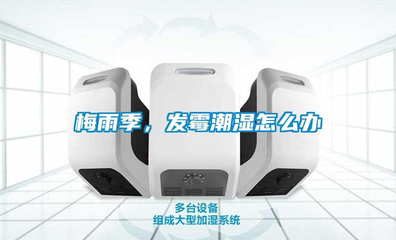 梅雨季，發(fā)霉潮濕怎么辦