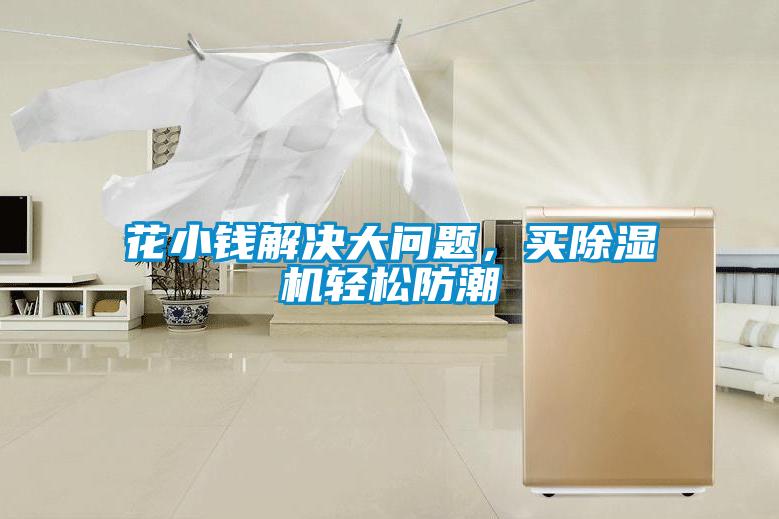 花小錢解決大問題，買除濕機輕松防潮