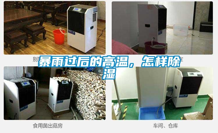 暴雨過(guò)后的高溫，怎樣除濕