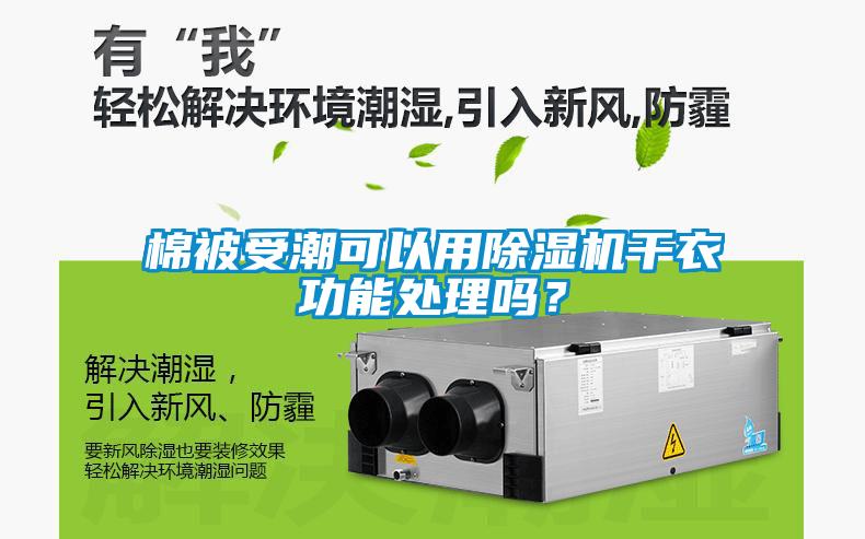 棉被受潮可以用除濕機(jī)干衣功能處理嗎？