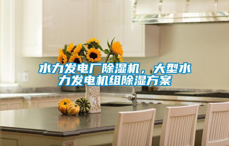 水力發(fā)電廠除濕機(jī)，大型水力發(fā)電機(jī)組除濕方案