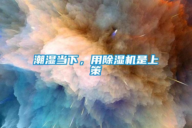 潮濕當下，用除濕機是上策