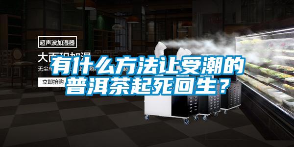 有什么方法讓受潮的普洱茶起死回生？