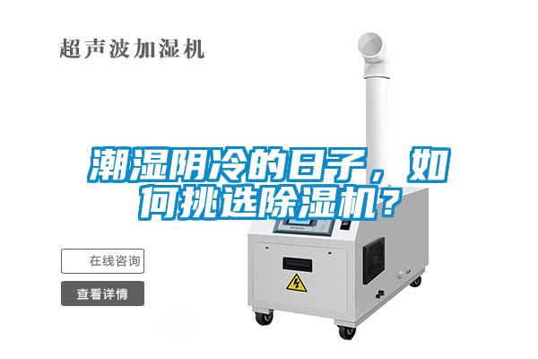 潮濕陰冷的日子，如何挑選除濕機？